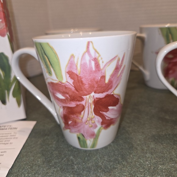 Paula Deen Set Of 4 Mugs Floral Amaryllis NOS Box 11 Oz - Picture 2 of 9